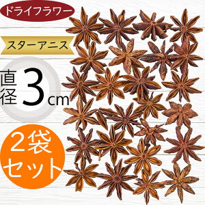 hCt[  X^[AjX lC VRf Rf t[AWg fBXvC pi CeA G  Ƌ  IV ϗtA ԍ  i` 