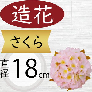   TN  {[  lC A A[eBtBVt[ lHϗtA CeAO[ tFCNO[ A[gt[ t[AWg ԍ fBX