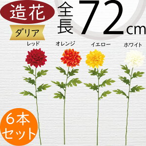 _A   lC A[eBtBVt[ Mtg v[g A t[AWg fBXvC A[gt[ ԍ CeA tFCNO[ G  I