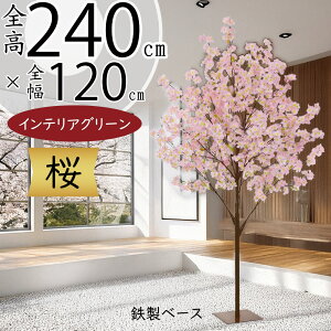   TN tFCNO[ ^  CeAO[ A lC lHϗtA  ϗtA A[gO[ lH X Vbv Ǝ{ Cxg fBXvC 