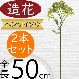 xPC\E   CeA lHϗtA A[eBtBVt[ S50cm 2{Zbg