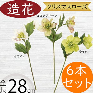 NX}X[Y   lC A A[eBtBVt[ Mtg v[g t[AWg fBXvC G CeA Ƌ pi ԍ Cxg p[eB