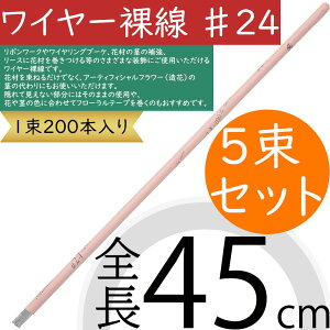 C[24 S45cm 1Zbg 1200{×5  ԍ  |pi AWg {[N CO