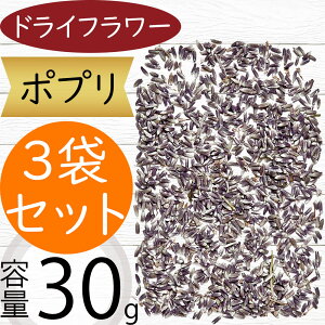 hCt[ x_[|v 3܃Zbg 1ܖ30g×2 VRf Rf ԍ t[AWg fBXvC 