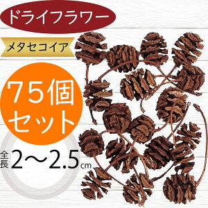 hCt[ ^ZRCA i` S2`2.5cm 75Zbg 125×3 VRf Rf ԍ t[AWg fBXvC itk66102j