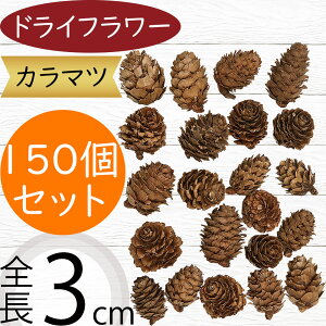 �h���C�t�����[ ������� �J���}�c �i�`������ �l�C �V�R�f�� ���R�f�� ���A�� �t�����[�A�����W�����g �f�B�X�v���C �����p�i �ԍ� ���� �p�[�c �G�� �Ƌ� ���� �u�� �I�V���� ������ ��