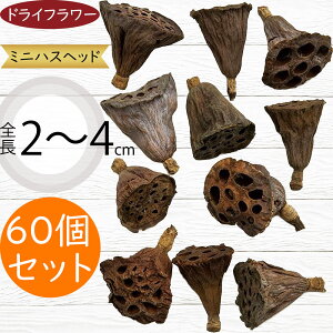 hCt[  ~jnXwbh lC VRf Rf t[AWg fBXvC pi CeA G  Ƌ  IV ϗtA ԍ  i`