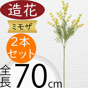 ~U   lC A[eBtBVt[ Mtg v[g A t[AWg fBXvC  ԍ  A[gt[ CeAO[ tFCNO