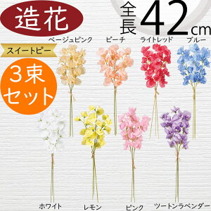 XC[gs[   XCgs[ lC A A[eBtBVt[ t[AWg fBXvC pi CeA G Ƌ IuWF lHϗtA tFCN M