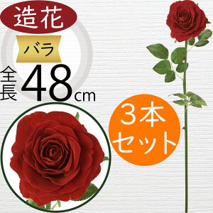 o  ΂ [Y KN  lC A A[eBtBVt[ Mtg v[g t[AWg fBXvC G CeA Cxg p[eB[ j 