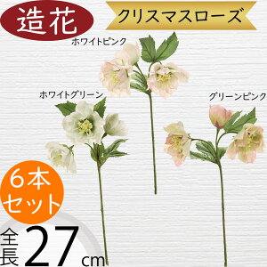 NX}X[Y   lC A A[eBtBVt[ Mtg v[g t[AWg fBXvC G CeA Ƌ pi ԍ Cxg p[eB