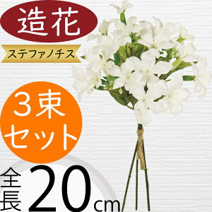 yԁz CeA Xet@m`X zCg sbN S20cm 3Zbg lHϗtA A[eBtBVt[ ԍ t[AWg fBXvC 