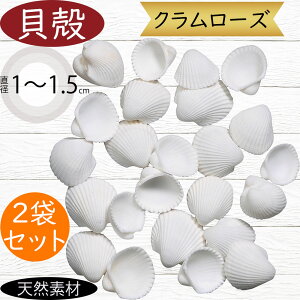 VRf  lC N[Y Rf hCt[ VF Lk t[AWg fBXvC pi CeA G  Ƌ ԍ   IV Mtg 