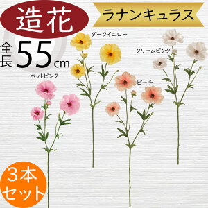 iLX   lC A A[eBtBVt[ Mtg v[g t[AWg fBXvC G CeA Ƌ pi ԍ Cxg ꑕ 