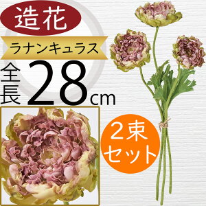 iLX   lC A A[eBtBVt[ Mtg v[g t[AWg fBXvC G CeA Ƌ pi ԍ Cxg ꑕ 