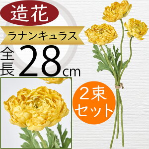 iLX   lC A A[eBtBVt[ Mtg v[g t[AWg fBXvC G CeA Ƌ pi ԍ Cxg ꑕ 