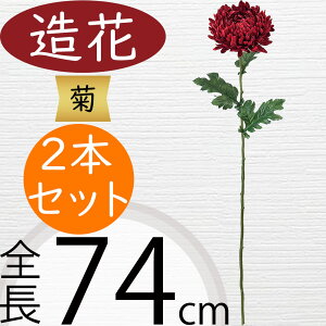 e   lC  LN } A[eBtBVt[ A lHϗtA CeAO[ tFCNO[ A[gt[ t[AWg fBXvC 