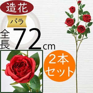 o  ΂ [Y KN  lC A A[eBtBVt[ Mtg v[g t[AWg fBXvC G CeA Ƌ  ԍ Cxg p[eB