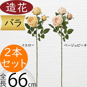 o  ΂ [Y KN  lC A A[eBtBVt[ Mtg v[g t[AWg fBXvC G CeA Ƌ pi ԍ Cxg p[