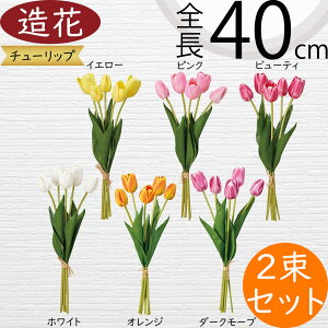 `[bv   lC A A[eBtBVt[ lHϗtA CeAO[ A[gt[ G Ƌ tFCNO[ t[AWg fBXvC