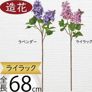 CbN   lC A[eBtBVt[ CeAO[ tFCNO[ A lHϗtA A[gt[ t[AWg fBXvC pi 