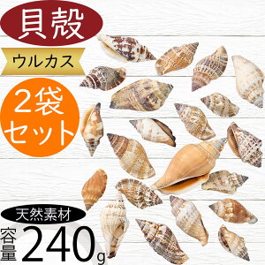 VRf  lC EJX Rf hCt[ VF Lk t[AWg fBXvC pi CeA G  Ƌ ԍ   IV Mtg v