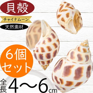 VRf  lC `Ci[ Rf hCt[ VF Lk t[AWg fBXvC pi CeA G  Ƌ ԍ   IV Mtg