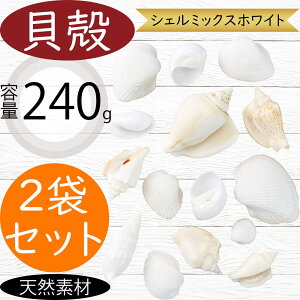 VRf  lC VF~bNXzCg 7A\[g Rf hCt[ VF Lk t[AWg fBXvC pi CeA G  Ƌ ԍ  