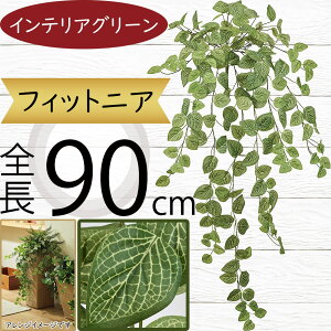 tFCNO[  lC CeAO[ A lHϗtA  lH A[gvc A[gO[ ϗtA ChAO[ CeA G IuWF ԍ t 