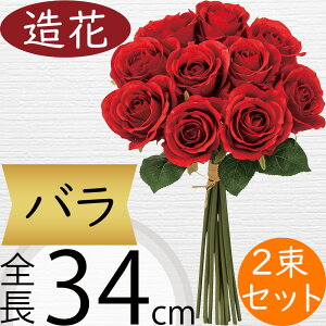 o u[P ԑ  bh  ΂ [Y KN  lC A A[eBtBVt[ Mtg v[g t[AWg fBXvC G CeA Cxg 