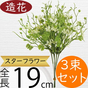 X^[t[   lC A[eBtBVt[ G CeAO[ tFCNO[ A[gt[ A lHϗtA t[AWg ԍ   