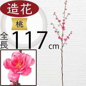  ^  ̉   lC A[eBtBVt[ } Mtg v[g A t[AWg fBXvC  A[gt[ CeA tFCNO