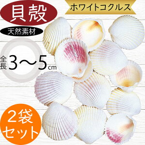 VRf  lC zCgRNX Rf hCt[ VF Lk t[AWg fBXvC p CeA G  Ƌ ԍ   IV Mtg