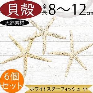 �V�R�f�� ������� �l�C �z���C�g �X�^�[�t�B�b�V�� �� ���R�f�� �h���C�t�����[ �V�F�� �L�k �t�����[�A�����W�����g �f�B�X�v���C �����p�i �C���e���A �G�� ���� �Ƌ� �ԍ� ���� ������ 