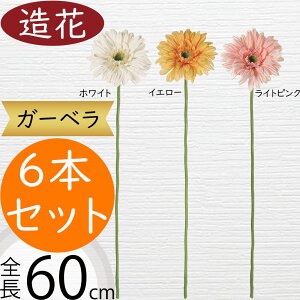 K[x   lC A A[eBtBVt[ Mtg v[g t[AWg fBXvC  G CeA IuWF Ƌ ԍ  Cxg ꑕ