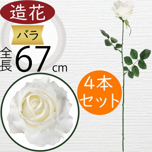 o  ΂ [Y KN  lC A A[eBtBVt[ Mtg v[g t[AWg fBXvC G CeA p ԍ Cxg p[eB[ 