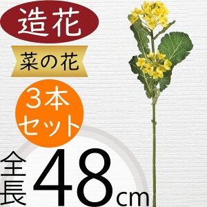 ؂̉   A A[eBtBVt[ lHϗtA CeAO[ A[gt[ G tFCNO[ t[AWg fBXvC  Mtg v