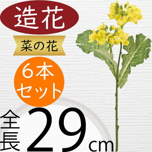 ؂̉   A A[eBtBVt[ lHϗtA CeAO[ A[gt[ G tFCNO[ t[AWg fBXvC  Mtg v