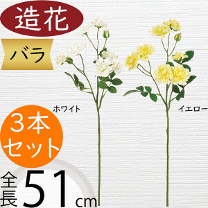 o  ΂ [Y KN  lC A A[eBtBVt[ Mtg v[g t[AWg fBXvC G CeA Ƌ pi ԍ Cxg p[