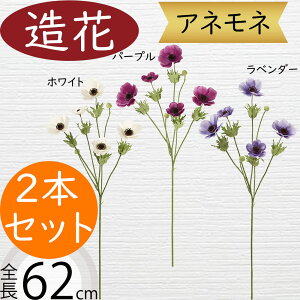 All   lC A[eBtBVt[ A A lHϗtA CeAO[ tFCNO[ G Ƌ t[AWg A[gt[ fBX