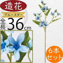 楽天市場】ジャスミン 鉢植え（カラーブルー）の通販