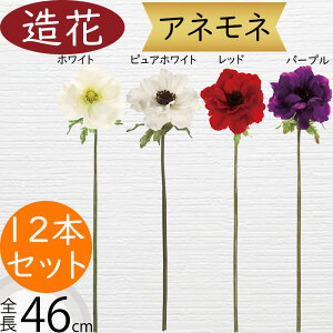 All   lC A[eBtBVt[ A A lHϗtA CeAO[ tFCNO[ G Ƌ t[AWg A[gt[ fBX