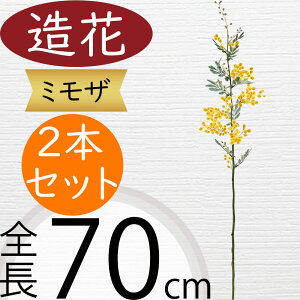 ~U   lC A[eBtBVt[ Mtg v[g A t[AWg fBXvC  ԍ A[gt[ CeAO[ tFCNO[ 