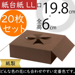 䎆 LL 19.8cm×S6cm 20Zbg 110×2 ԍ t[ 䎆  t[AWg fBXvC 