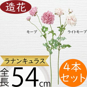 iLX   lC A A[eBtBVt[ Mtg v[g t[AWg fBXvC G CeA Ƌ pi ԍ Cxg ꑕ 