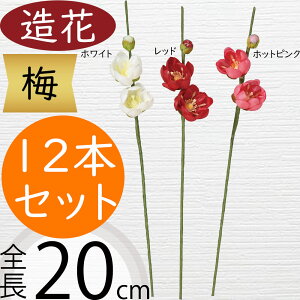 ~  E   lC A[eBtBVt[ } } Mtg v[g A t[AWg fBXvC p A[gt[ CeA tFCNO