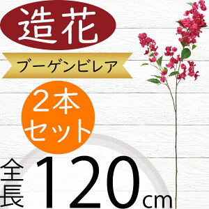 u[QrA u[QrA ^   lC tFCNO[ A ԍ CeAO[ ϗtA lHϗtA lH t[AWg { gs