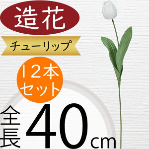 `[bv   lC A A[eBtBVt[ lHϗtA CeAO[ A[gt[ G Ƌ tFCNO[ t[AWg fBXvC