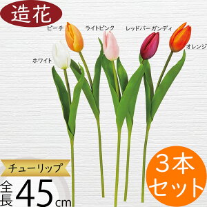 `[bv   lC A A[eBtBVt[ lHϗtA CeAO[ A[gt[ G Ƌ tFCNO[ t[AWg fBXvC