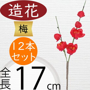 ~  E   lC A[eBtBVt[ } } Mtg v[g A t[AWg fBXvC p A[gt[ CeA tFCNO